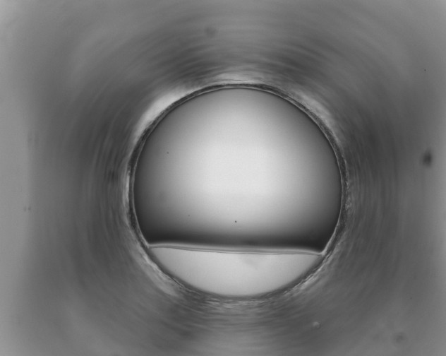 X0000091071179200708061016
