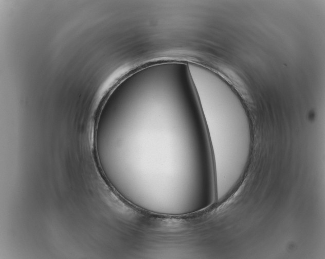 X0000091071180200708061016