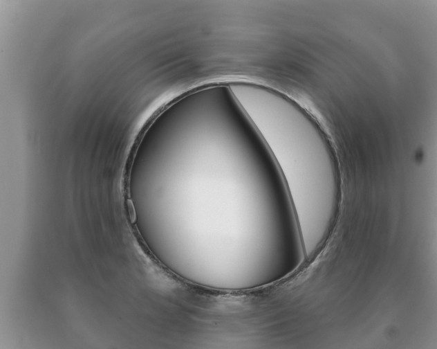 X0000091071181200708061016