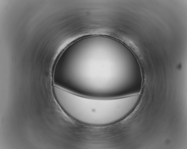 X0000091071184200708061016