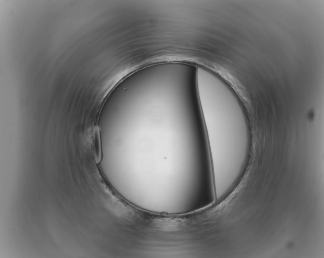 X0000091071185200708061016