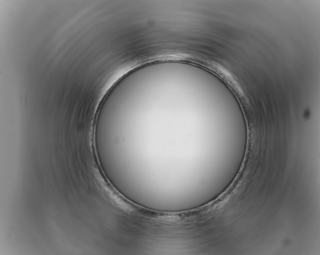 X0000091071186200708061016