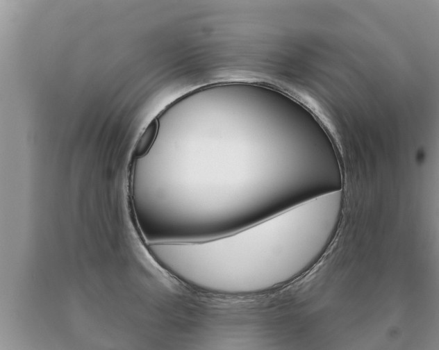 X0000091071187200708061016