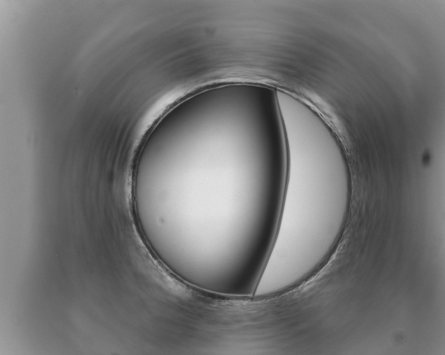 X0000091071188200708061016