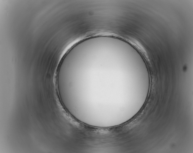 X0000091071190200708061016