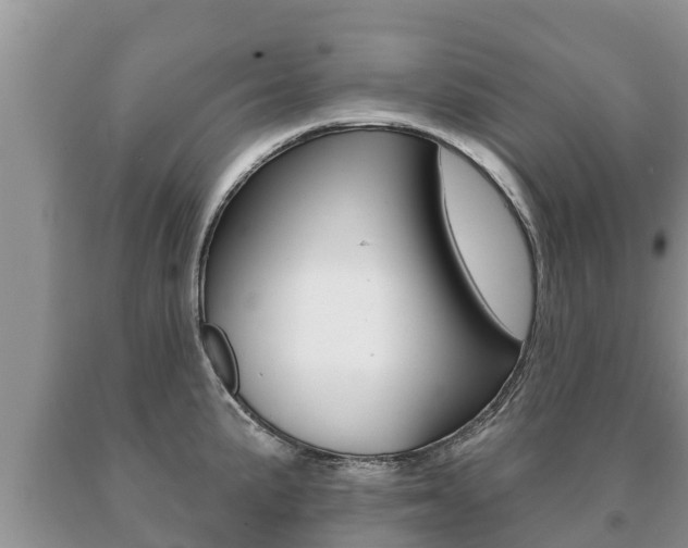 X0000091071191200708061016