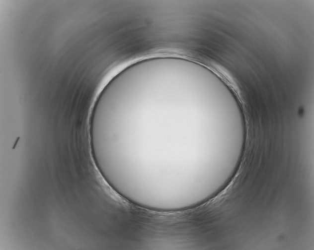 X0000091071192200708061016