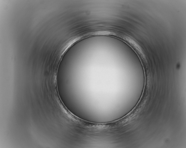 X0000091071193200708061016