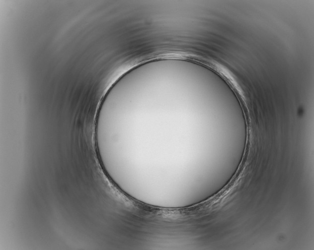 X0000091071194200708061016