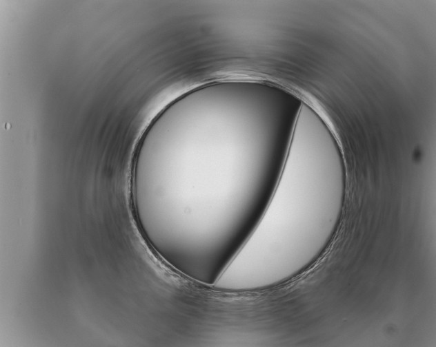 X0000091071195200708061016