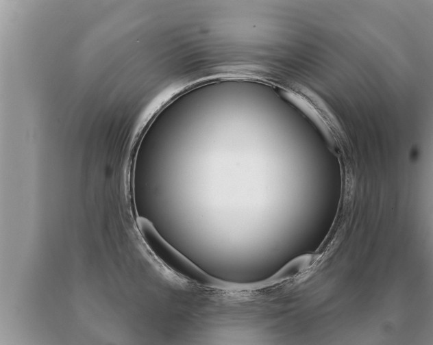 X0000091071196200708061016