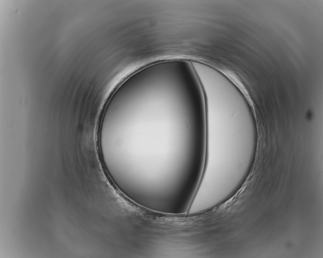 X0000091071197200708061016