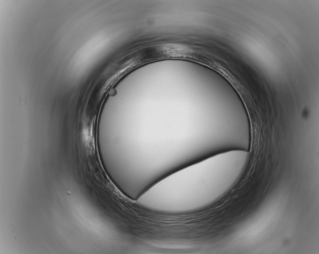 X0000091071198200708061016