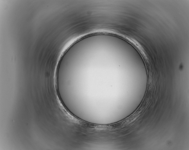 X0000091071199200708061016