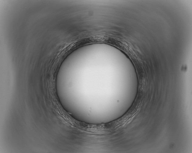 X0000091071201200708061015