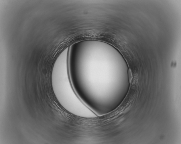 X0000091071202200708061015