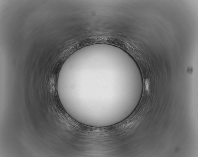 X0000091071203200708061015