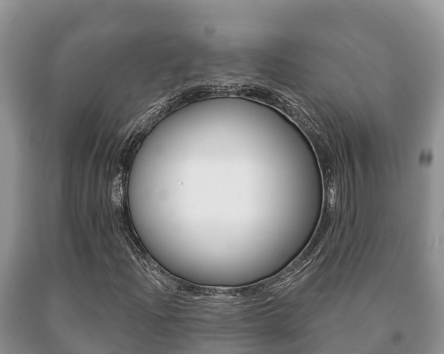 X0000091071204200708061015