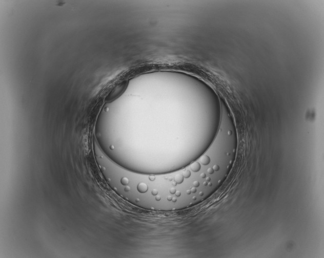 X0000091071205200708061015