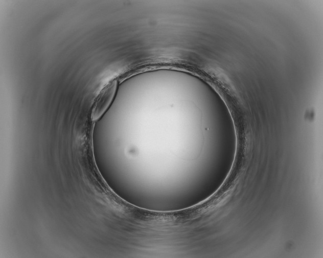 X0000091071210200708061015