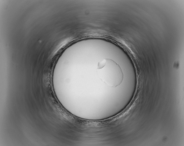X0000091071211200708061015