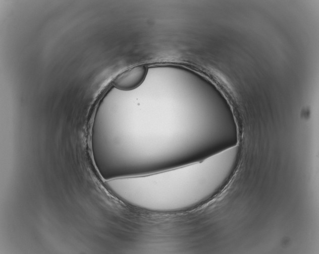 X0000091071212200708061015