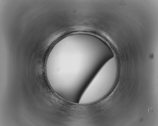 X0000091071213200708061015