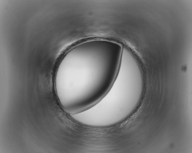 X0000091071214200708061015