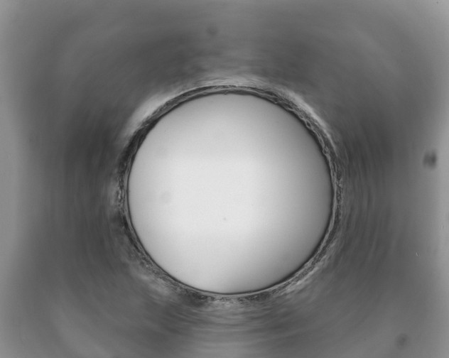 X0000091071215200708061015