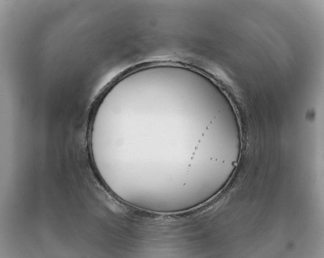 X0000091071216200708061015