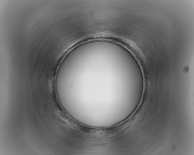 X0000091071217200708061015