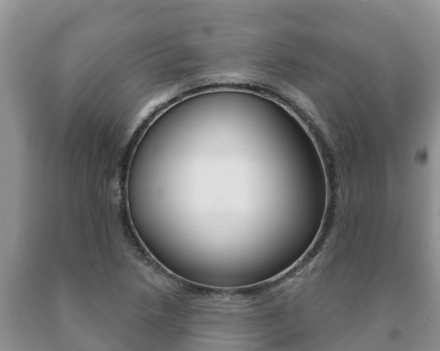 X0000091071218200708061015