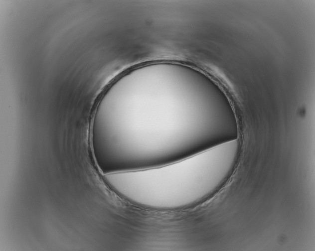 X0000091071220200708061015