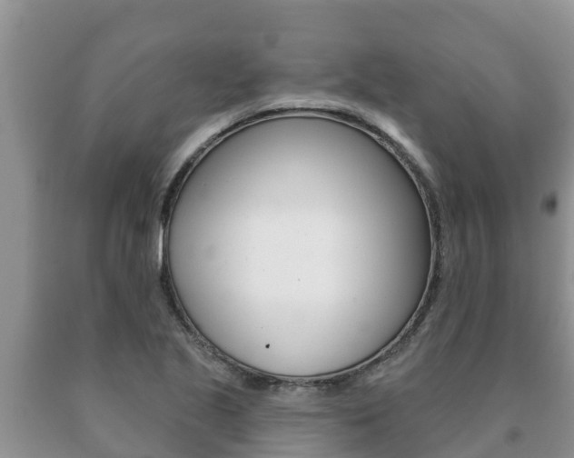 X0000091071221200708061015
