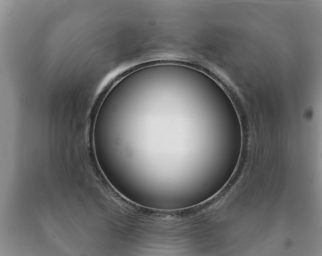 X0000091071222200708061015