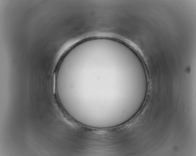 X0000091071223200708061015