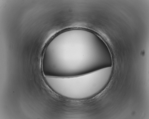 X0000091071224200708061015