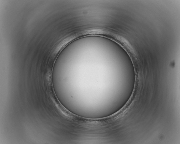 X0000091071225200708061015