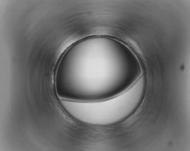 X0000091071226200708061015