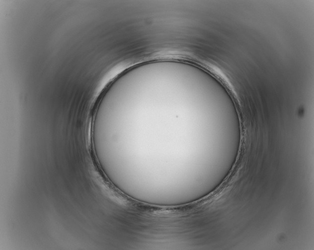 X0000091071227200708061015