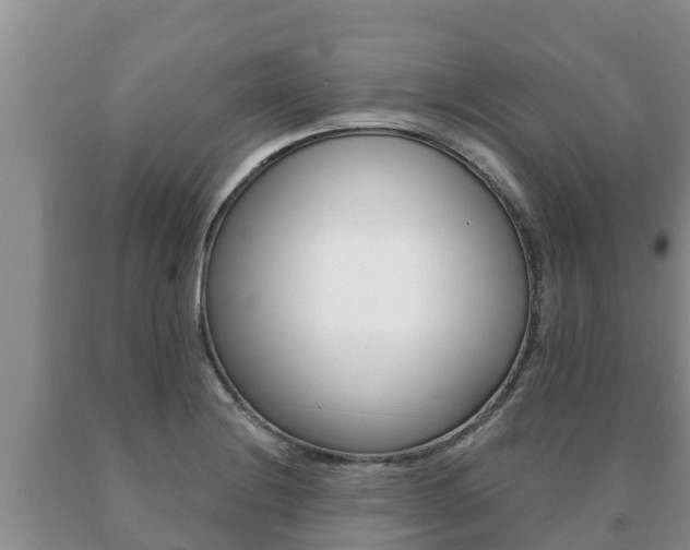 X0000091071228200708061015