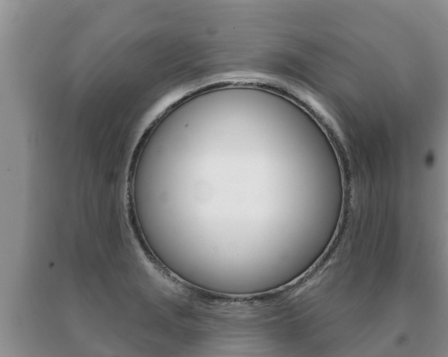X0000091071229200708061015