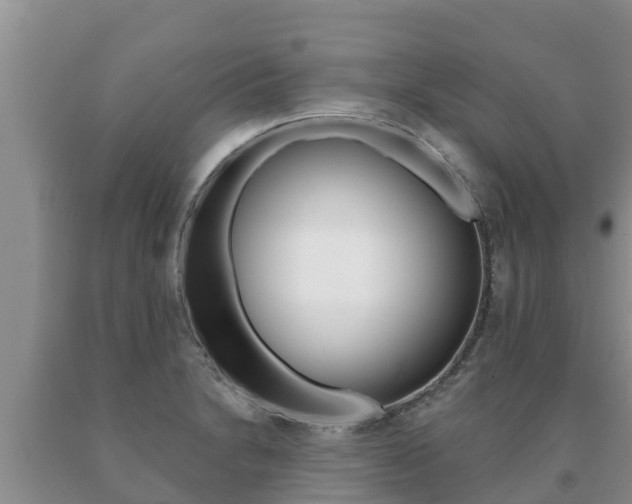 X0000091071230200708061015