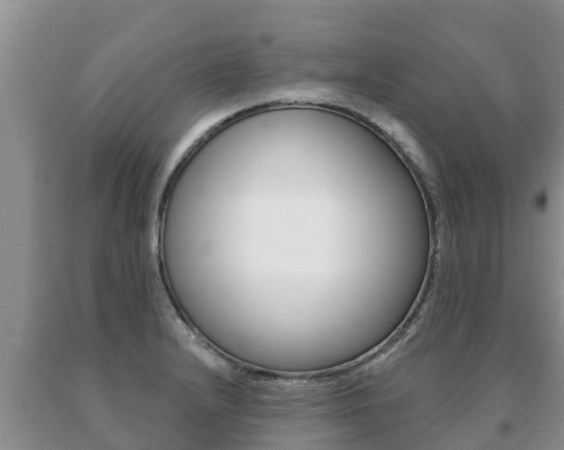 X0000091071232200708061015