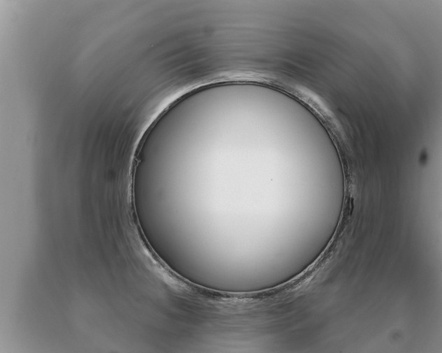 X0000091071236200708061015