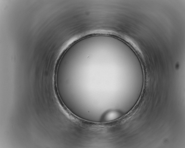X0000091071237200708061016