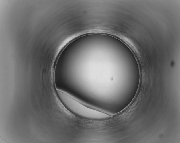 X0000091071238200708061016