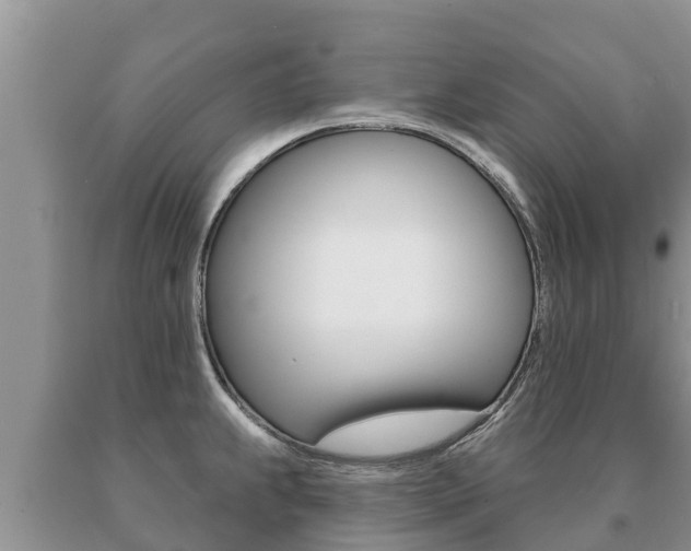 X0000091071239200708061016