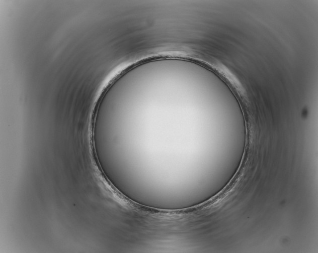 X0000091071240200708061016