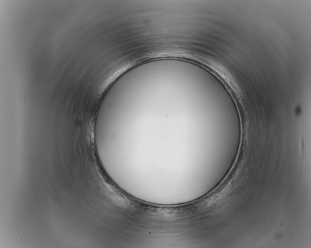 X0000091071241200708061016